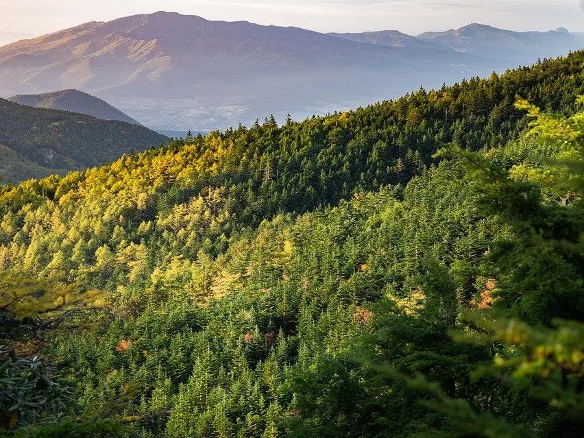 可變環(huán)境燃燒實(shí)驗(yàn)艙